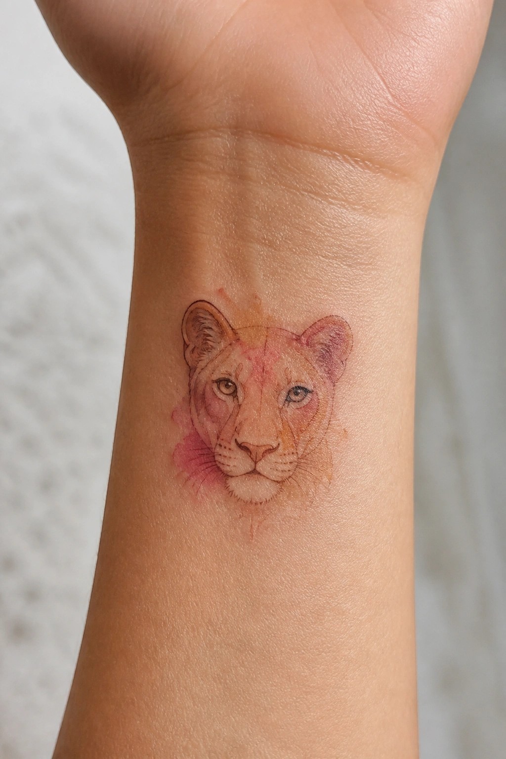 Watercolor lioness face tattoo with pink and orange hues on wrist