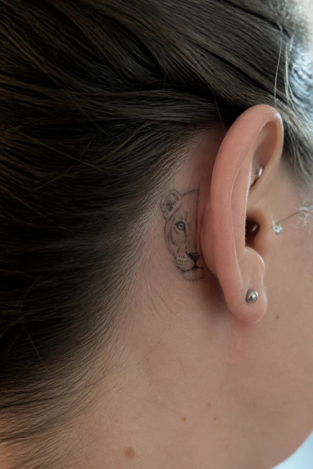 Small realistic lioness tattoo in black ink placed directly behind the ear on the side of the head.