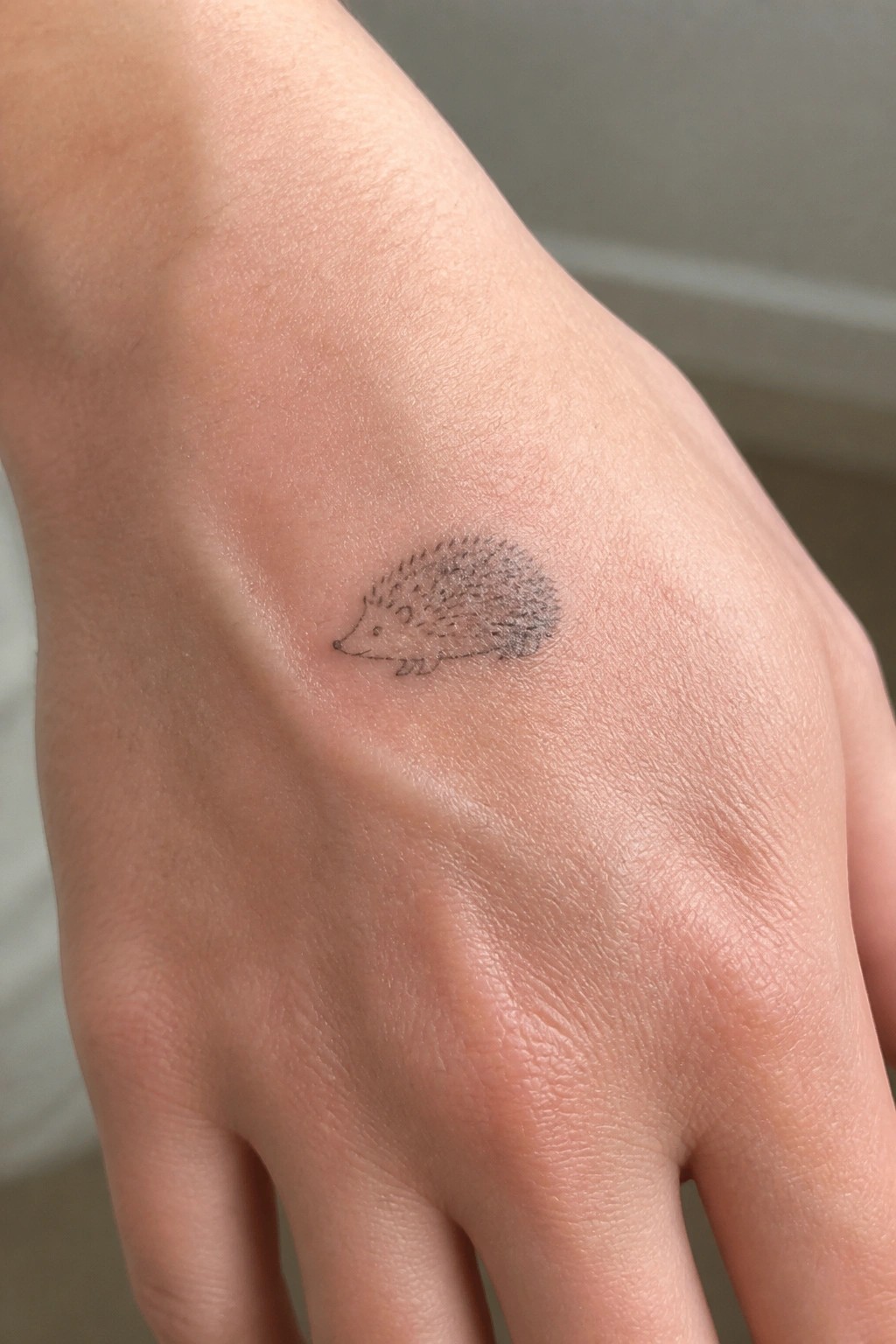 Small hedgehog tattoo in black ink on light-skinned hand.