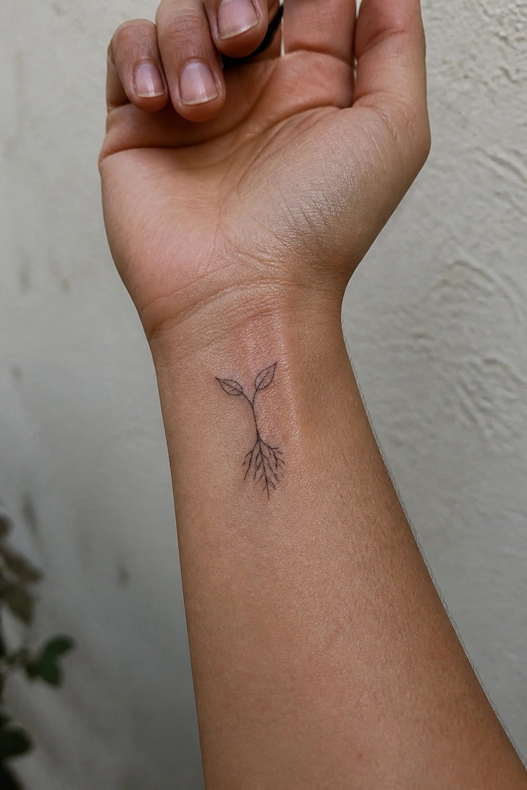 Hand with minimalist black line tattoo of plant with leaves and roots on wrist