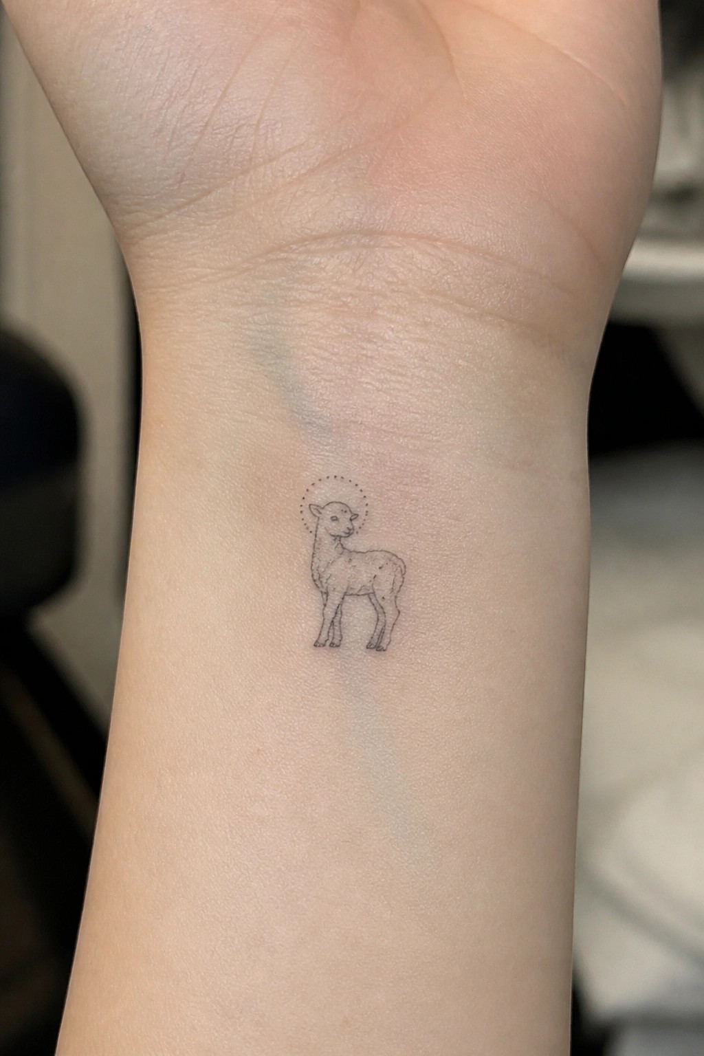 Delicate fine-line tattoo of a lamb with dotted halo on wrist