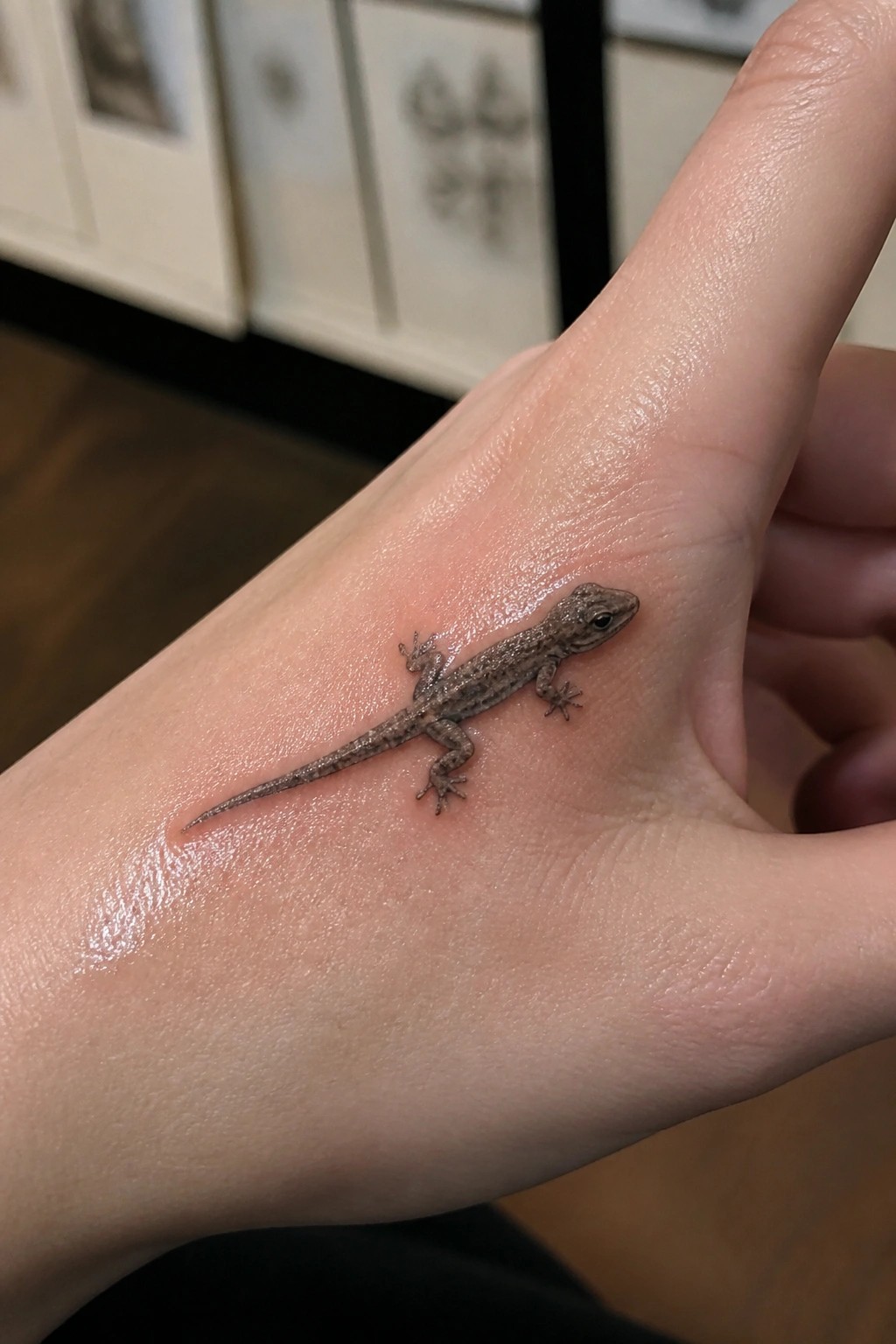 Tiny brown lizard perched on moist palm of outstretched hand.