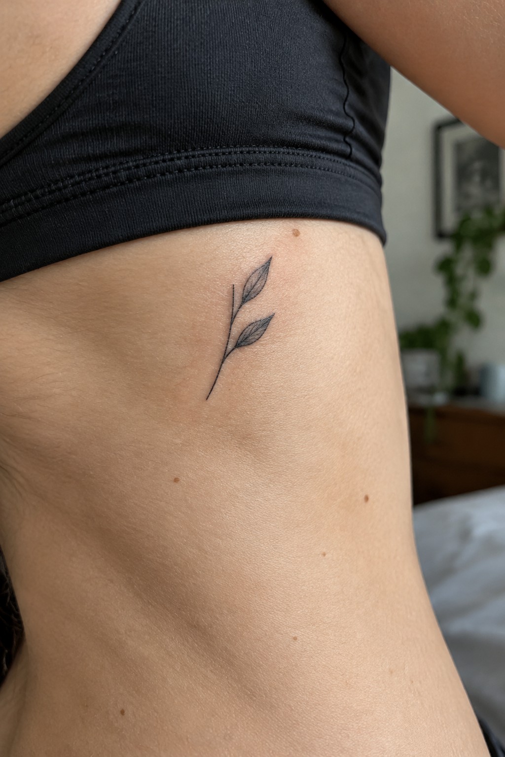 Small black leafy branch tattoo on ribcage under black crop top.